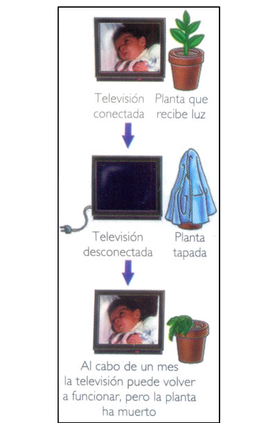 la energia la materia y la vida